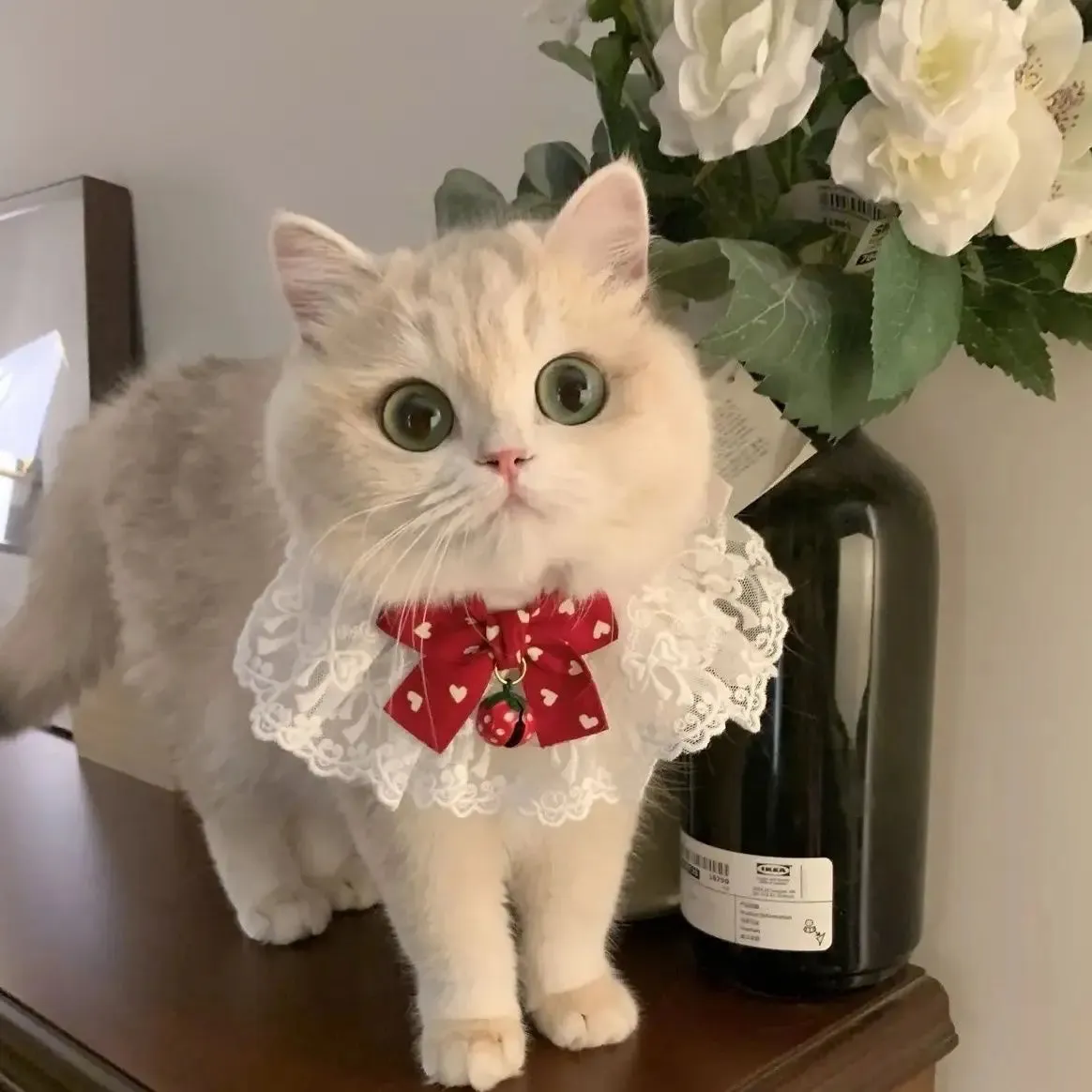 ✨ Elegant Pearl & Lace Pet Bib 🎀 Chic Ribbon Scarf for Pawsome Parties 🐾💖