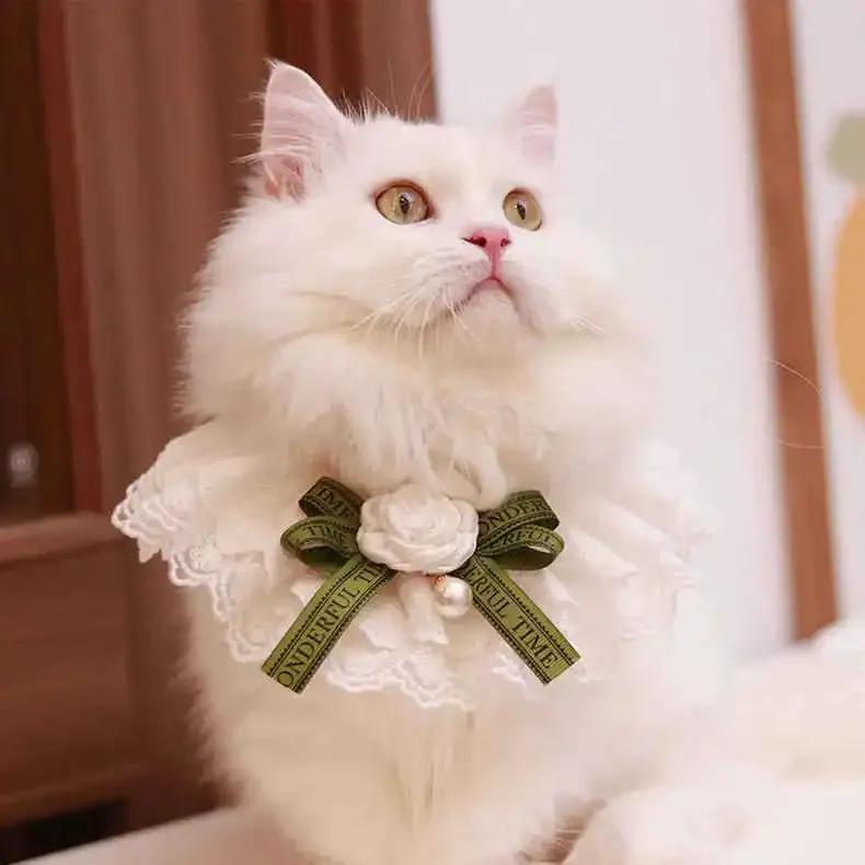 ✨ Elegant Pearl & Lace Pet Bib 🎀 Chic Ribbon Scarf for Pawsome Parties 🐾💖