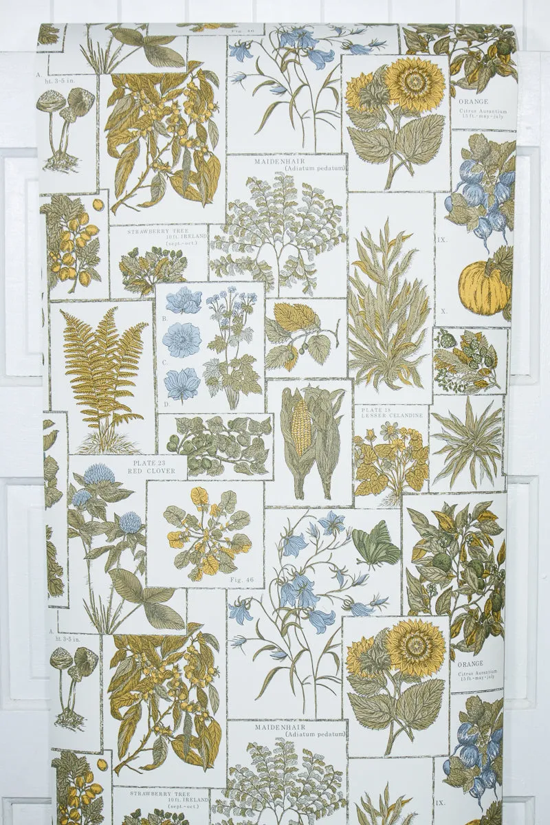 1970s Kitchen Vintage Wallpaper