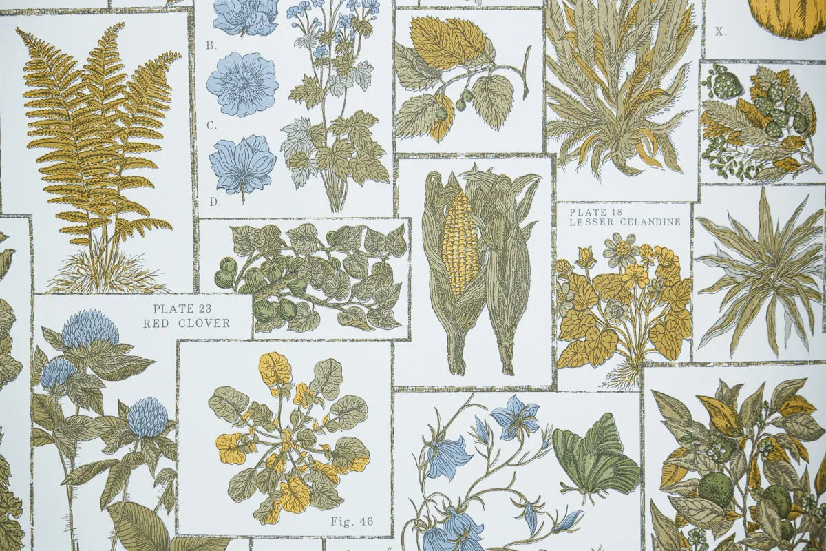 1970s Kitchen Vintage Wallpaper