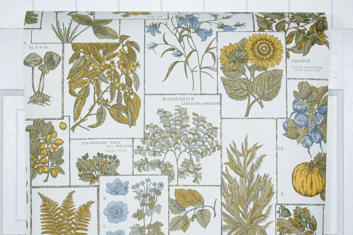 1970s Kitchen Vintage Wallpaper