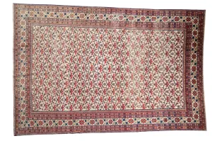7.5x10.5 Vintage Baktiari Carpet
