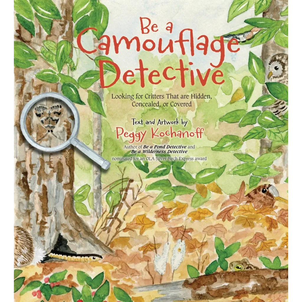 Be a Camouflage Detective