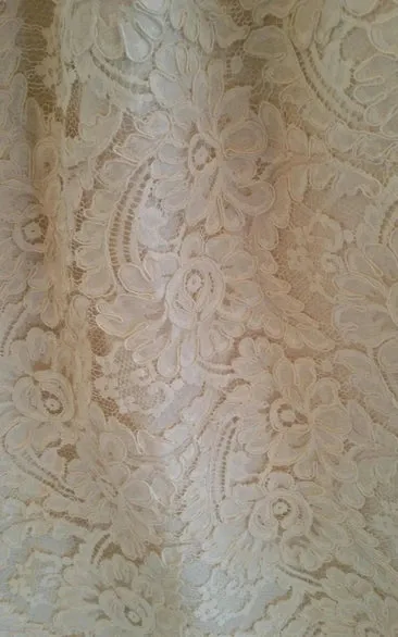 Elegant Sleeveless Pleated Lace Halter A-Line Wedding Dress