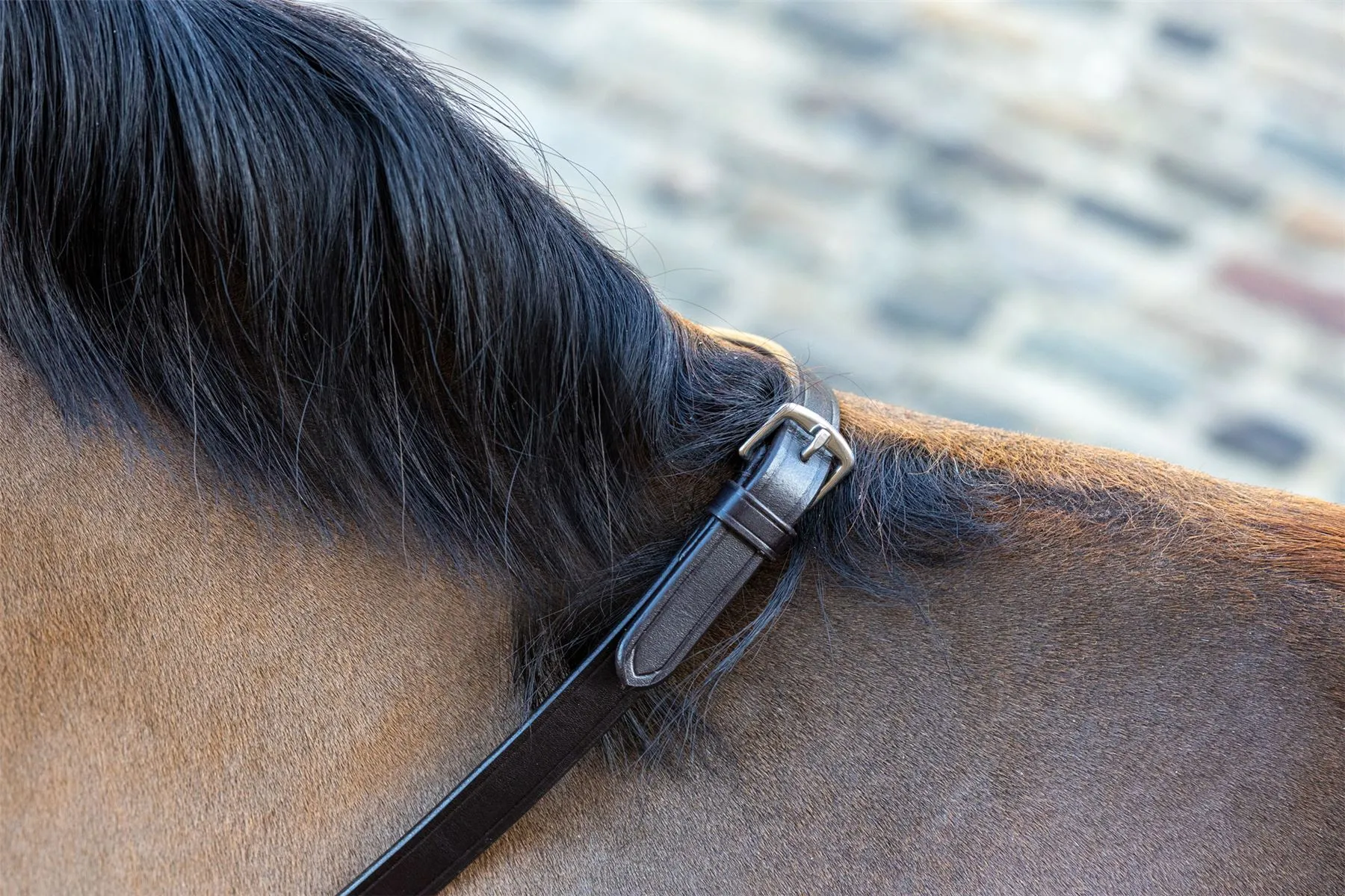 LeMieux Soft Rubber Reins with Stoppers