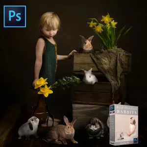 Real Rabbits Overlay Bundle
