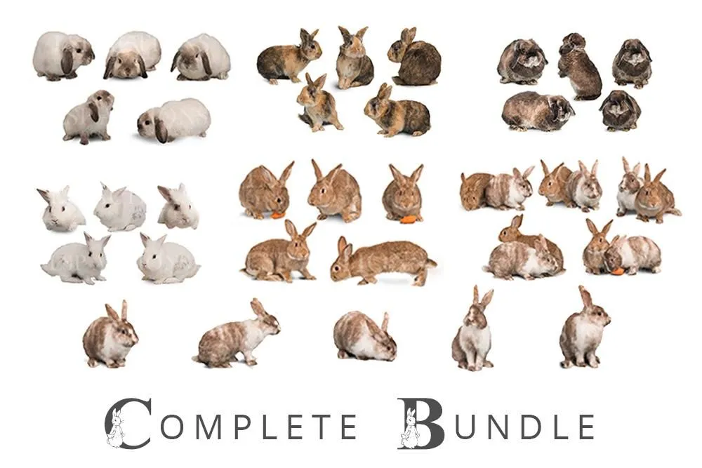 Real Rabbits Overlay Bundle