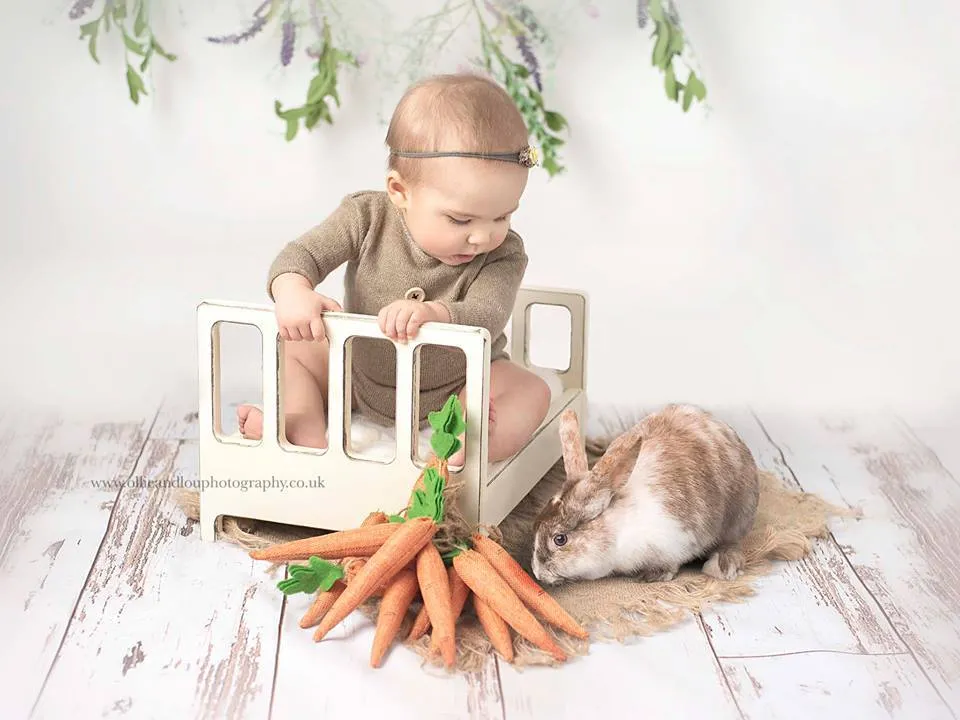 Real Rabbits Overlay Bundle