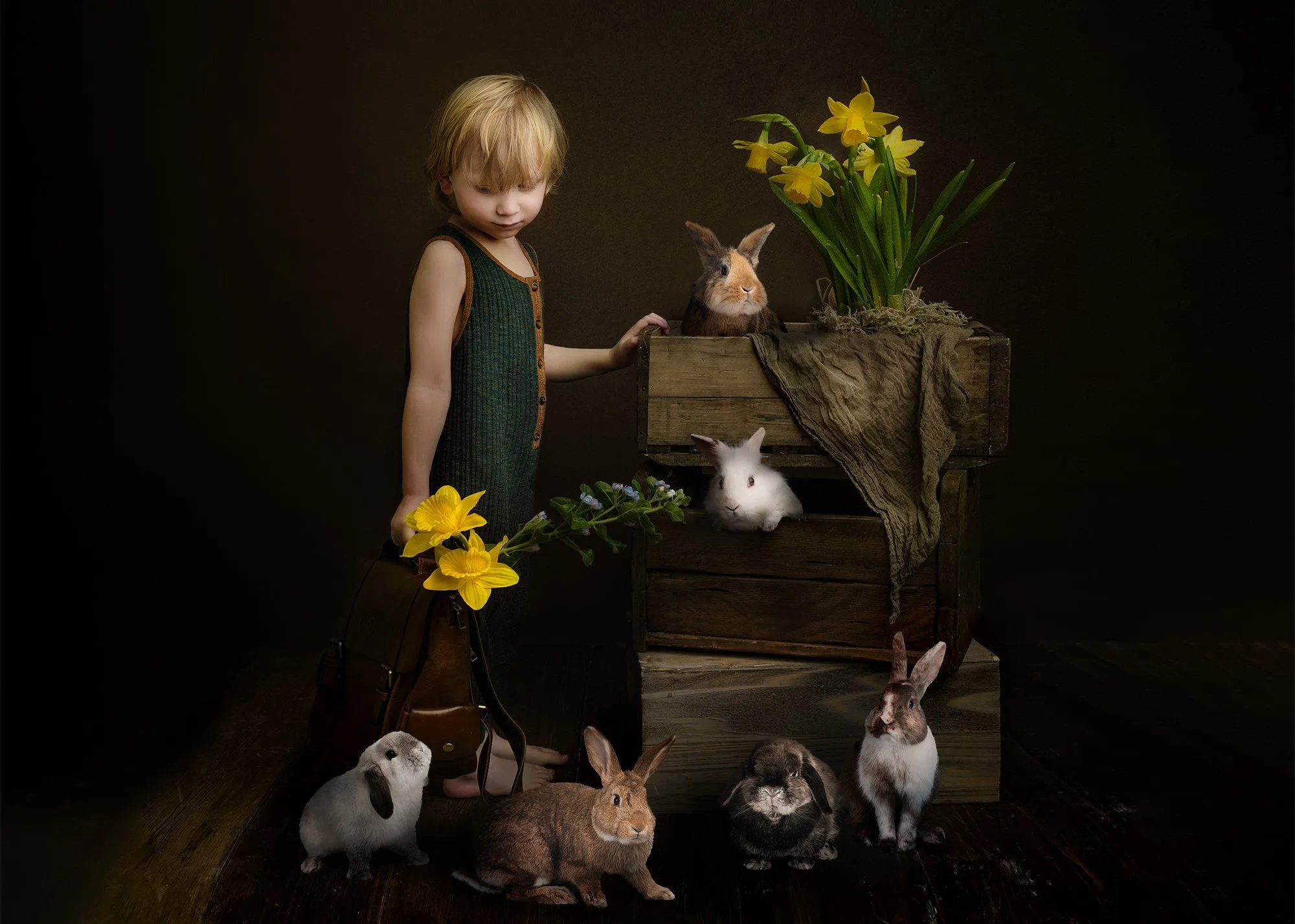 Real Rabbits Overlay Bundle