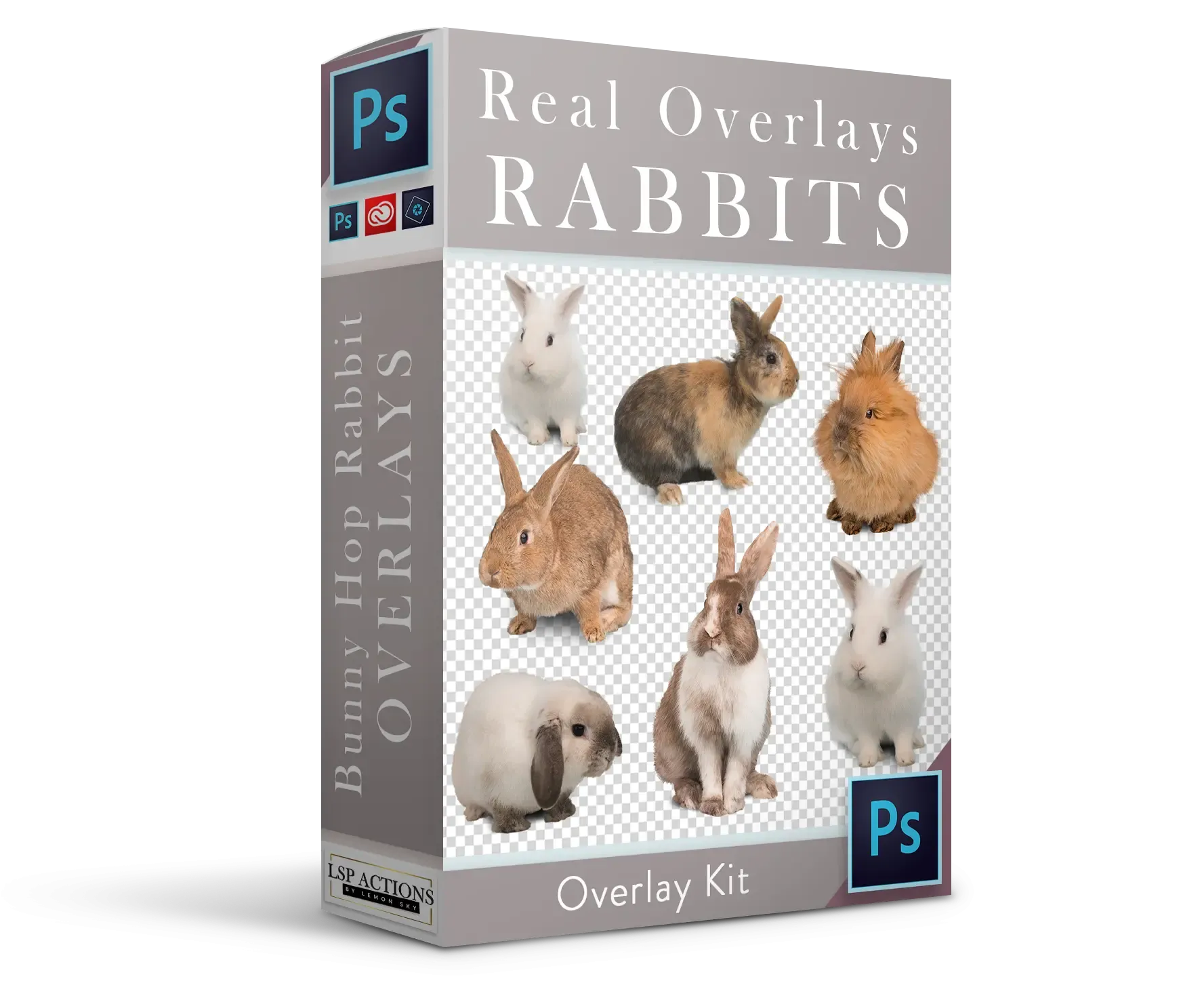 Real Rabbits Overlay Bundle