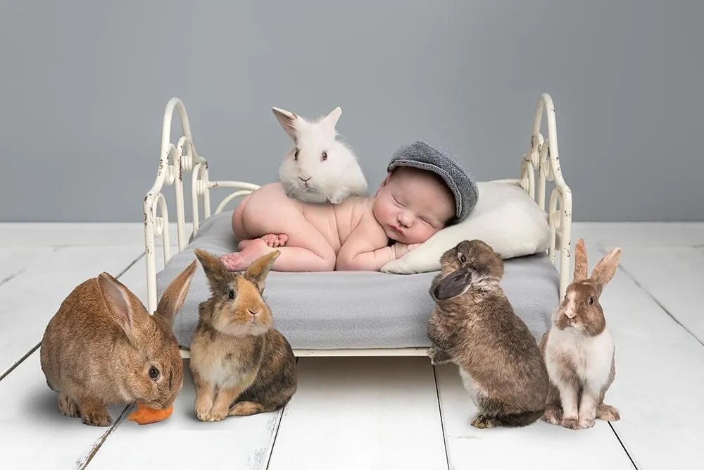Real Rabbits Overlay Bundle