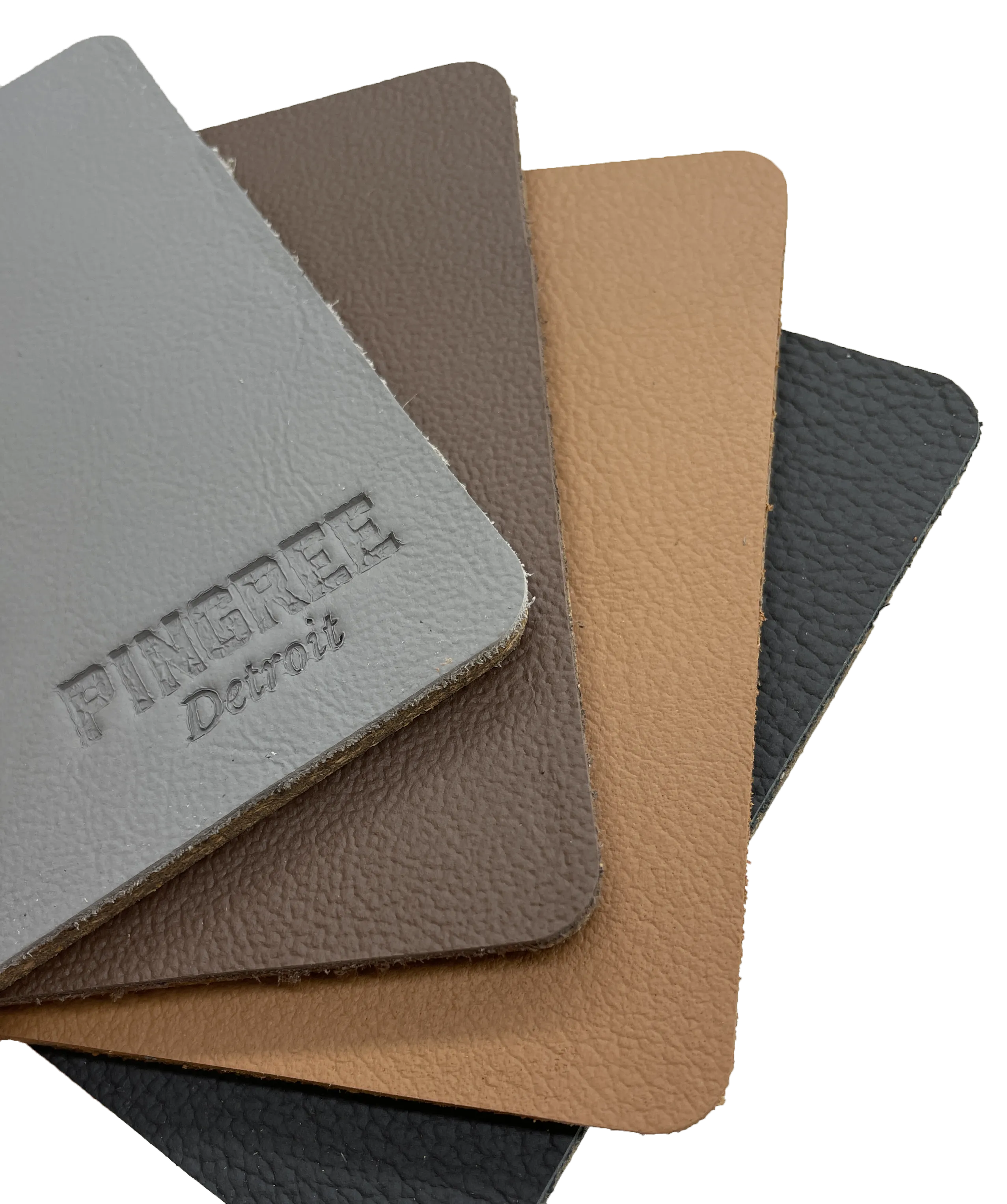 The Corktown Coasters