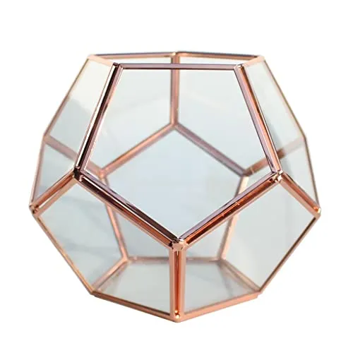 Trendy Retail® Geometric Glass Terrarium Planter Succulent Container Multifunctional Tabletop Storage Indoor Ornament