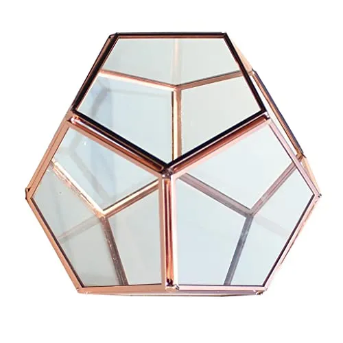 Trendy Retail® Geometric Glass Terrarium Planter Succulent Container Multifunctional Tabletop Storage Indoor Ornament