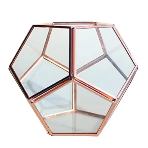 Trendy Retail® Geometric Glass Terrarium Planter Succulent Container Multifunctional Tabletop Storage Indoor Ornament